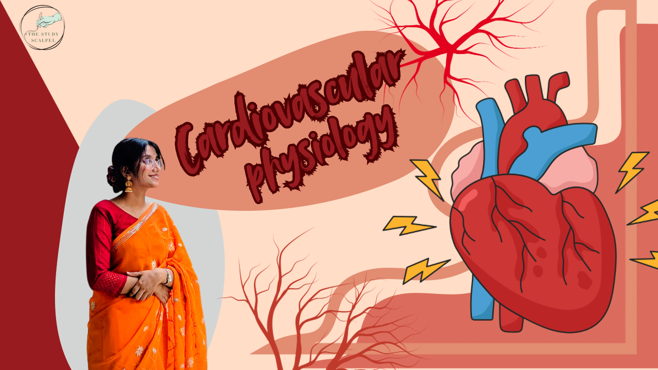 CARD-2: Cardiovascular Physiology